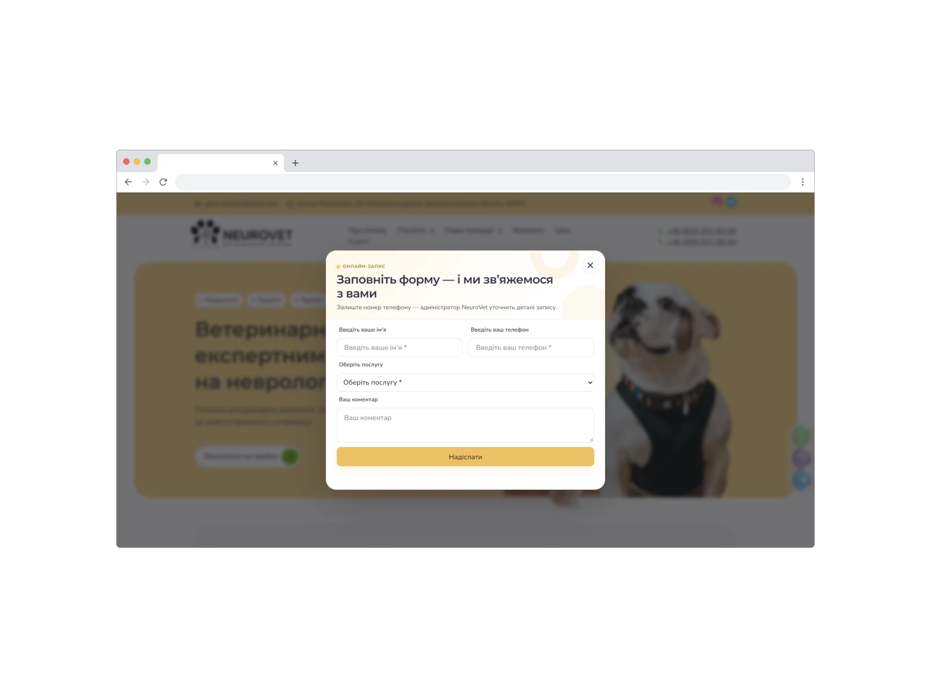 NEUROVET - Галерея проєкту 2