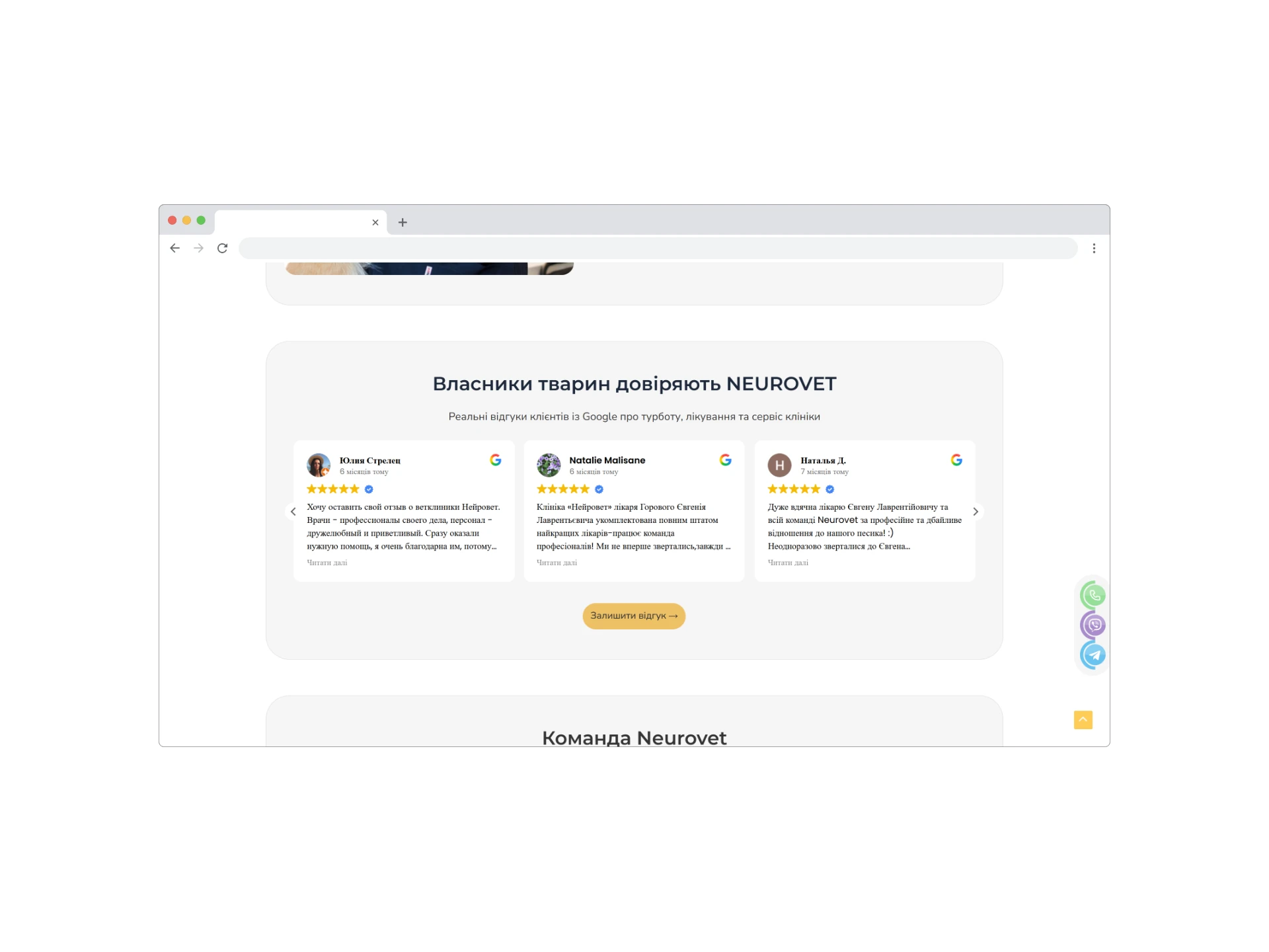 NEUROVET - Галерея проєкту 3